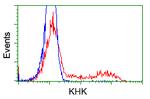 KHK Antibody in Flow Cytometry (Flow)