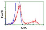 KHK Antibody in Flow Cytometry (Flow)