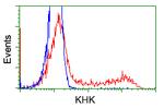 KHK Antibody in Flow Cytometry (Flow)