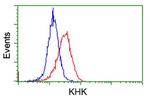 KHK Antibody in Flow Cytometry (Flow)