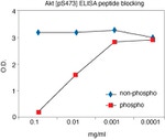 Human AKT (Phospho) [pS473] ELISA Kit