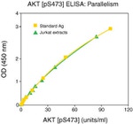 Human AKT (Phospho) [pS473] ELISA Kit