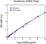 Human CREB (Total) ELISA Kit