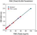 Human FAK (Total) ELISA Kit