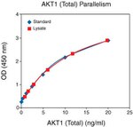 Human AKT1 (Total) ELISA Kit