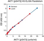 Human AKT1 (Phospho) [pS473] ELISA Kit, Ultrasensitive