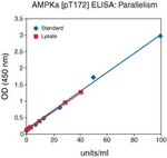 Human AMPK alpha-1,2 (Phospho) [pT172] ELISA Kit