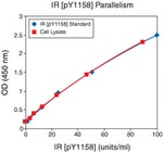 Human IR (Phospho) [pY1158] ELISA Kit