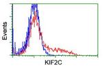 KIF2C Antibody in Flow Cytometry (Flow)