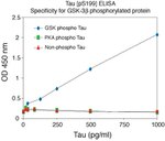 Mouse Tau (Phospho) [pS199] ELISA Kit