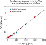 Mouse Tau (Total) ELISA Kit