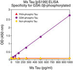 Mouse Tau (Phospho) [pS199] ELISA Kit