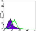 Cytokeratin 15 Antibody in Flow Cytometry (Flow)