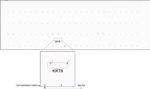 KRT8 Antibody in Peptide array (ARRAY)