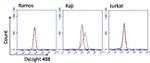 Human Kappa Light Chain Secondary Antibody in Flow Cytometry (Flow)