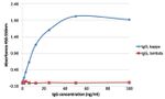 Human Kappa Light Chain Secondary Antibody in ELISA (ELISA)