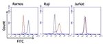 Human Kappa Light Chain Secondary Antibody in Flow Cytometry (Flow)