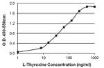 L-Thyroxine T4 Antibody in ELISA (ELISA)