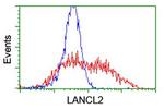 LANCL2 Antibody in Flow Cytometry (Flow)