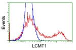 LCMT1 Antibody in Flow Cytometry (Flow)