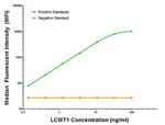 LCMT1 Antibody in Luminex (LUM)