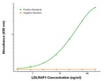 LDLRAP1 Antibody in ELISA (ELISA)