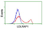 LDLRAP1 Antibody in Flow Cytometry (Flow)