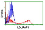 LDLRAP1 Antibody in Flow Cytometry (Flow)