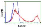 LENG1 Antibody in Flow Cytometry (Flow)