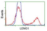 LENG1 Antibody in Flow Cytometry (Flow)