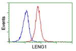 LENG1 Antibody in Flow Cytometry (Flow)