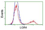 LGR4 Antibody in Flow Cytometry (Flow)