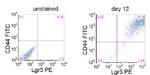 LGR5 Antibody in Flow Cytometry (Flow)