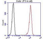 LGR5 Antibody in Flow Cytometry (Flow)