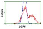 LGR5 Antibody in Flow Cytometry (Flow)