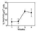 LGR5 Antibody in Flow Cytometry (Flow)