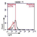 LGR5 Antibody in Flow Cytometry (Flow)