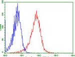 LGR5 Antibody in Flow Cytometry (Flow)