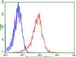 LGR5 Antibody in Flow Cytometry (Flow)