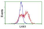 LHX1 Antibody in Flow Cytometry (Flow)