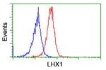 LHX1 Antibody in Flow Cytometry (Flow)