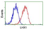 LHX1 Antibody in Flow Cytometry (Flow)