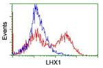 LHX1 Antibody in Flow Cytometry (Flow)