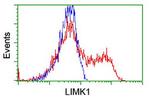 LIMK1 Antibody in Flow Cytometry (Flow)