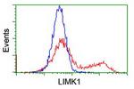 LIMK1 Antibody in Flow Cytometry (Flow)