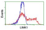 LIMK1 Antibody in Flow Cytometry (Flow)