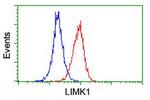 LIMK1 Antibody in Flow Cytometry (Flow)