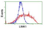 LIMK1 Antibody in Flow Cytometry (Flow)