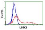 LIMK1 Antibody in Flow Cytometry (Flow)
