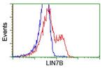 LIN7B Antibody in Flow Cytometry (Flow)